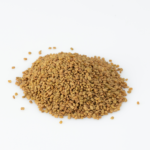 Fenogreco En Semillas