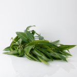 Hojas de mango (hierba)