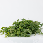 Hierba Rompe Saraguey