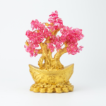 Bonsai Árbol de dinero (Gold & Rosado)