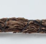 Raiz de maguey - Imagen 2