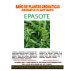 Epasote - Imagen 2