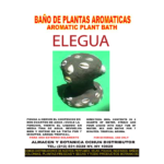 Elegua