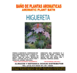 Higuereta - Imagen 2