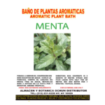 Menta