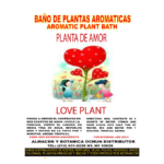 Planta de amor