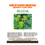 Ruda