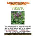 Verbena