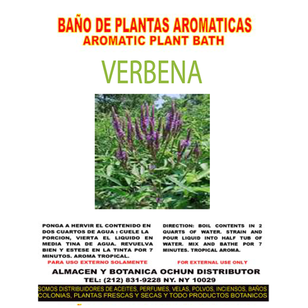 Verbena