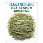 Cola de caballo