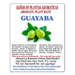 Guayaba