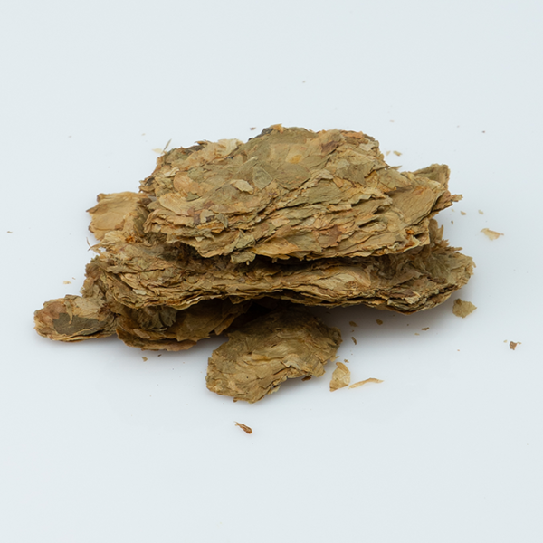 Flor De Cereza