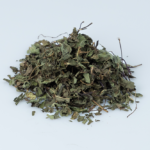 Menta
