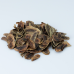 Mugwort