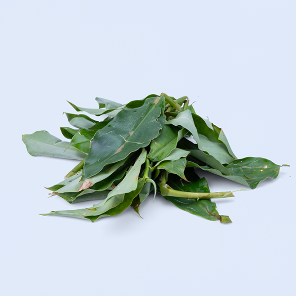 Insulina